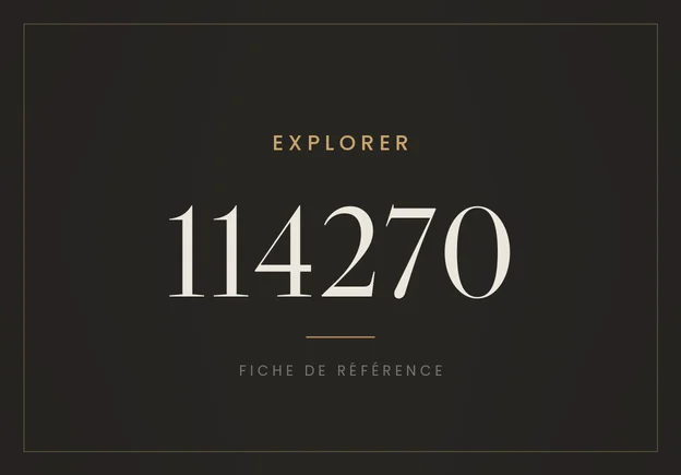 Rolex Explorer 114270, fiche de référence