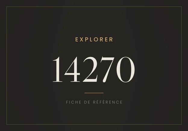 Rolex Explorer 14270, fiche de référence