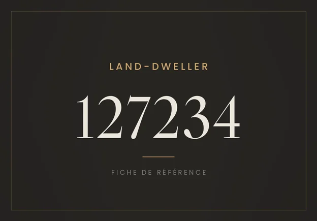 Rolex Land-Dweller 36 127234