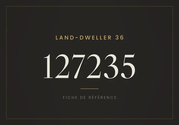 Rolex Land-Dweller 36 127235
