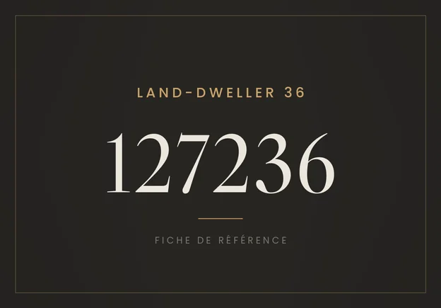 Rolex Land-Dweller 36 127236