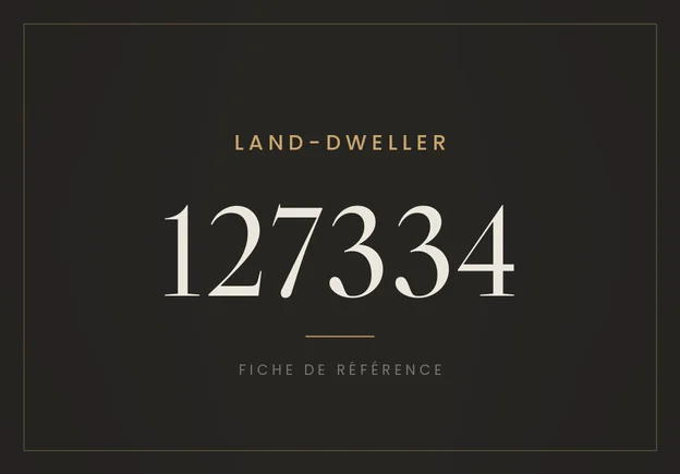 Rolex Land-Dweller 40 127334