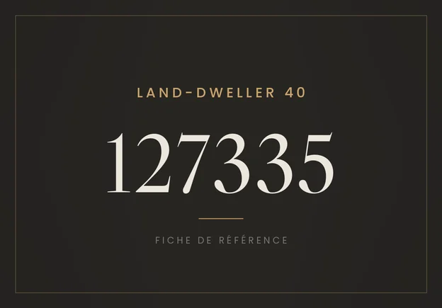 Rolex Land-Dweller 40 127335