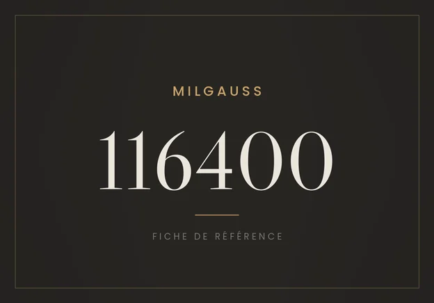 Rolex Milgauss 116400, fiche de référence
