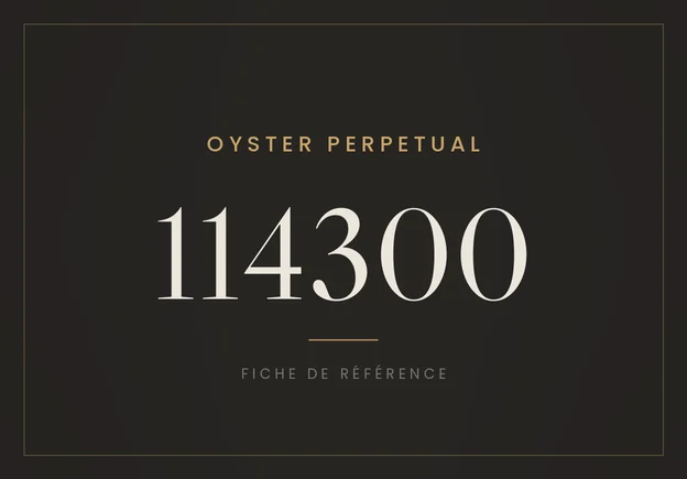 Rolex Oyster Perpetual 39 114300, fiche de référence