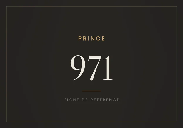 Rolex Prince 971, fiche de référence