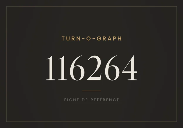 Rolex Datejust Turn-O-Graph 116264, fiche de référence